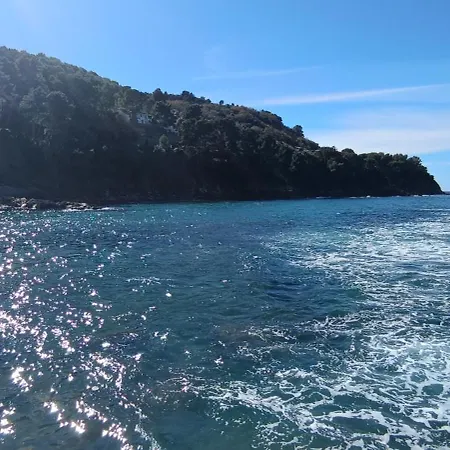 La Casa Del Surfista *